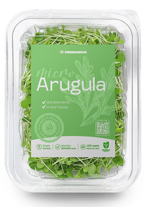 Arugula