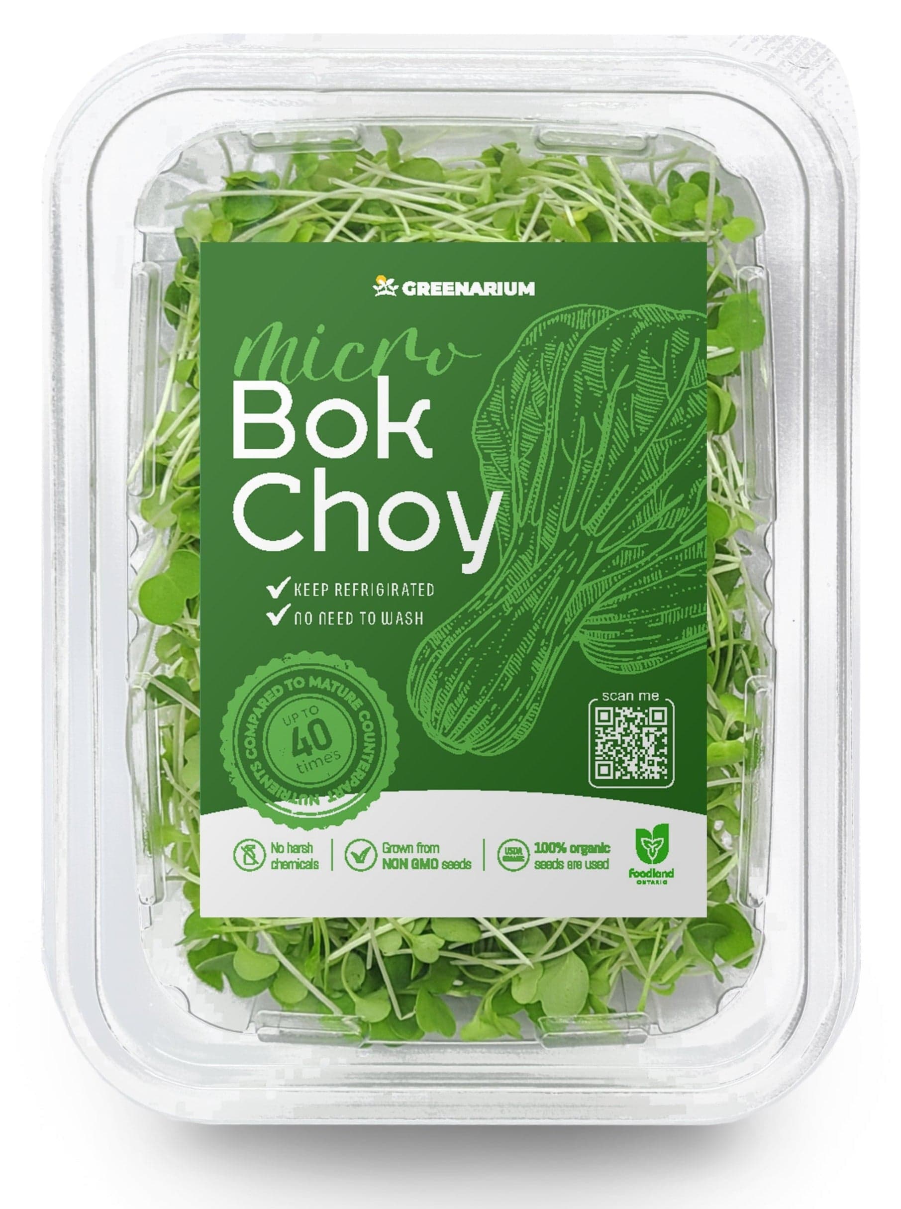 Bok Choy