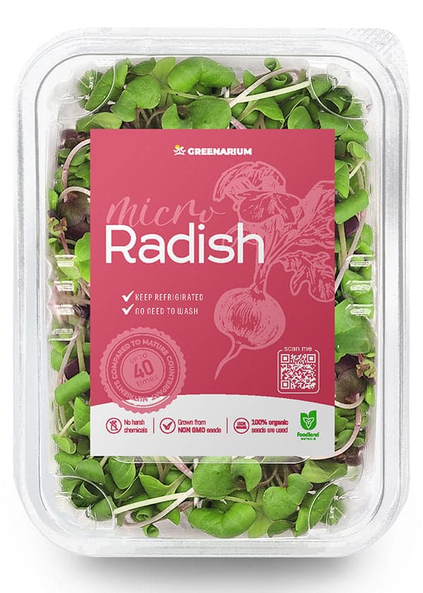 Radish