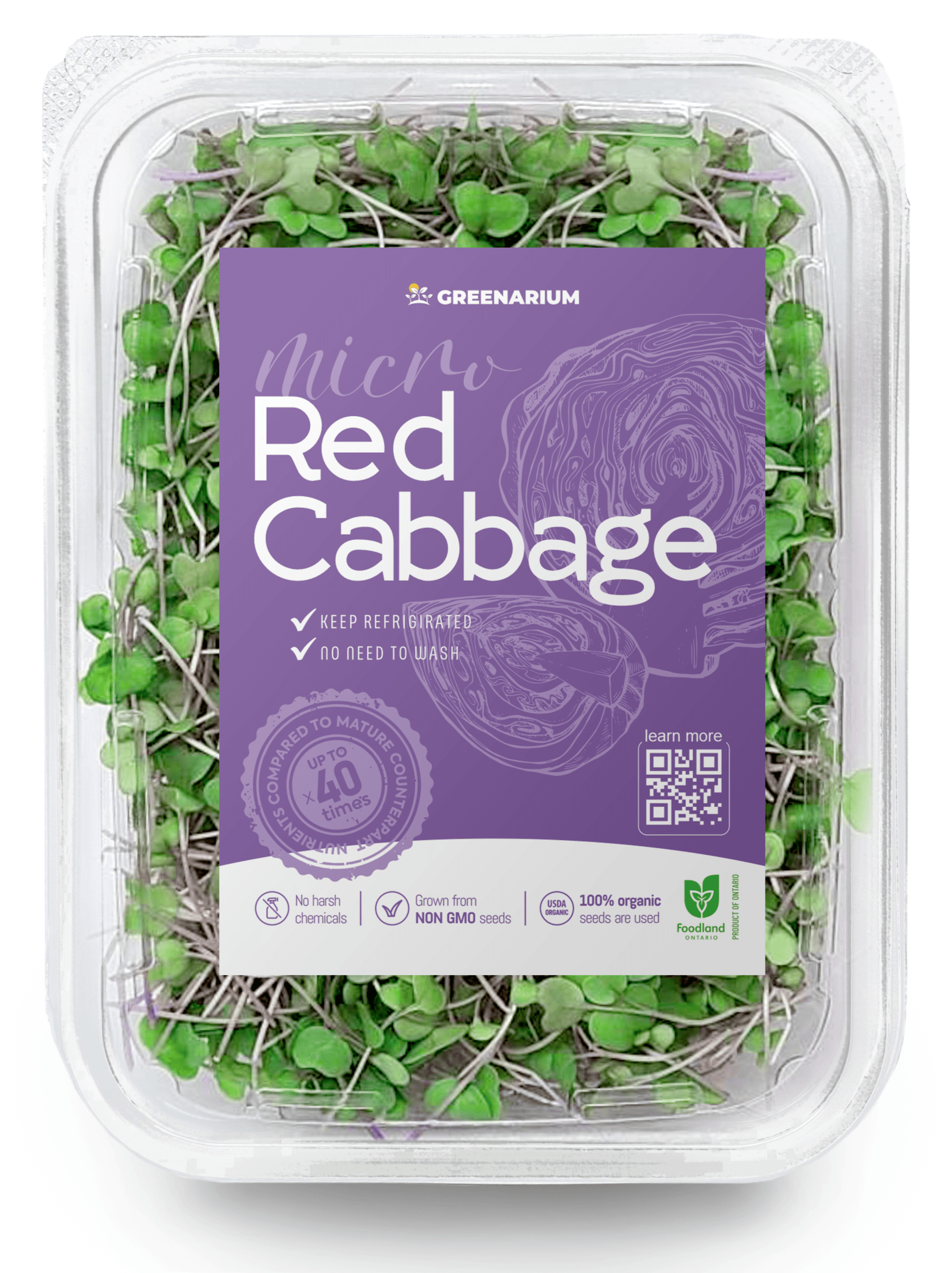 Red Cabbage