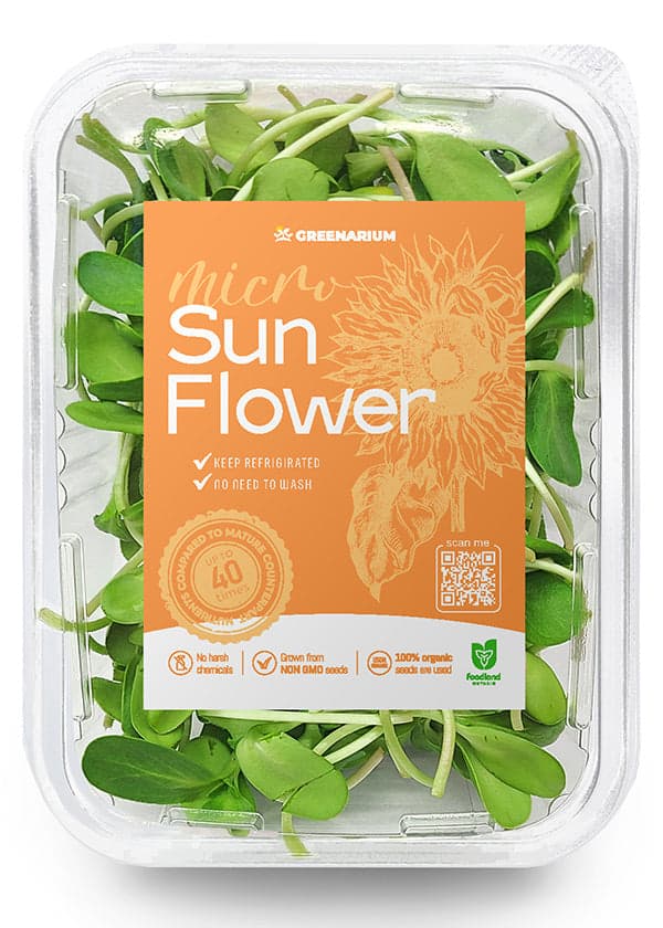Sunflower Shoots