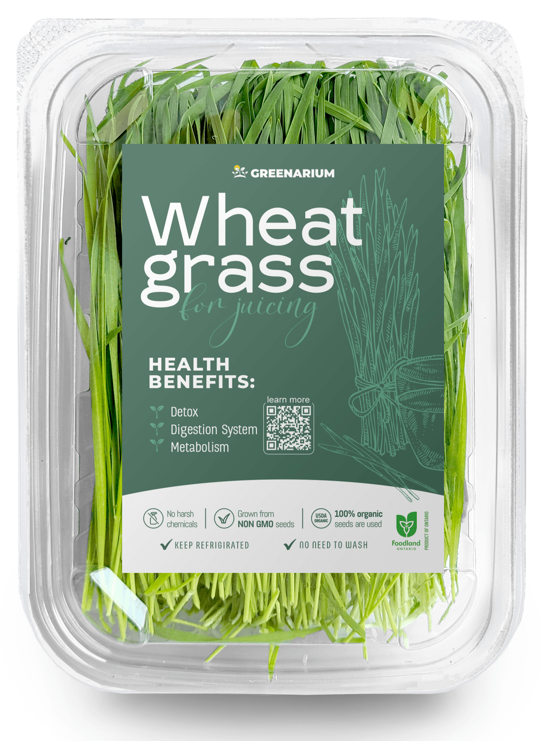 Wheatgrass